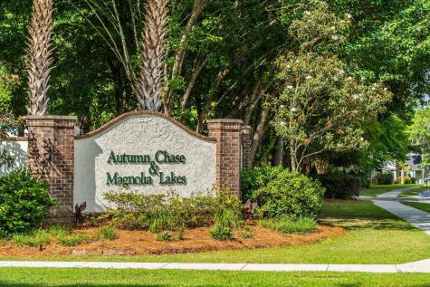 224 Sugar Magnolia Way Charleston SC 29414