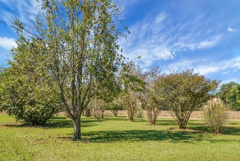 1763 Kingstree Highway Manning SC 29102