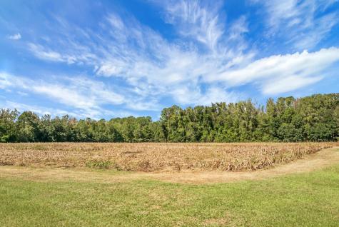 1763 Kingstree Highway Manning SC 29102