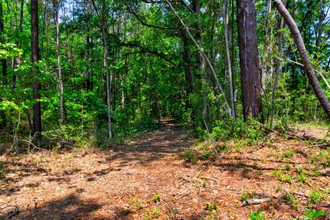 1810 Turkey Pen Road Charleston SC 29412