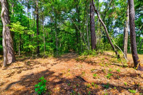 1810 Turkey Pen Road Charleston SC 29412