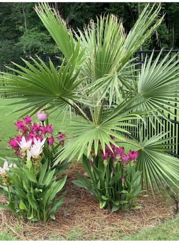 5065 Song Sparrow Way Summerville SC 29483