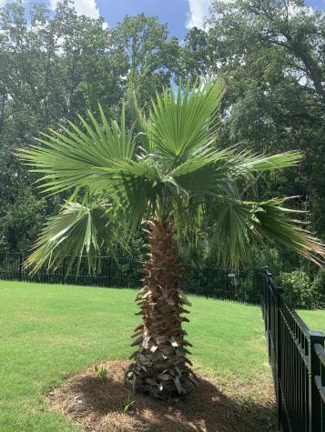 5065 Song Sparrow Way Summerville SC 29483