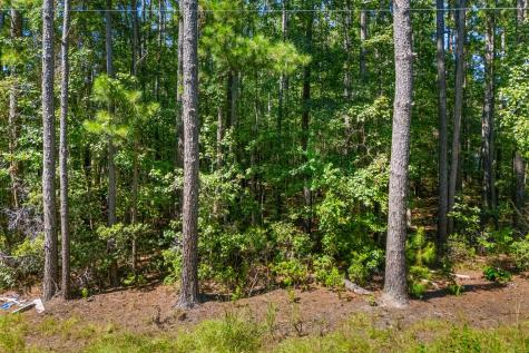 149 Ponderosa Road Summerville SC 29483