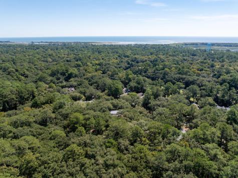 2824 Dove Nest Court Seabrook Island SC 29455