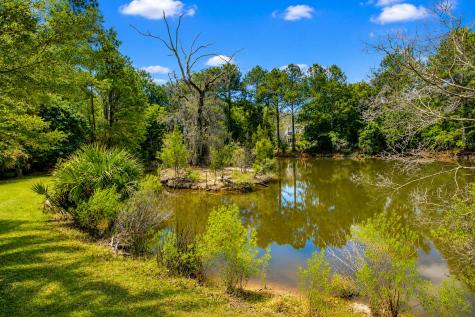 3379 Shagbark Circle Mount Pleasant SC 29466