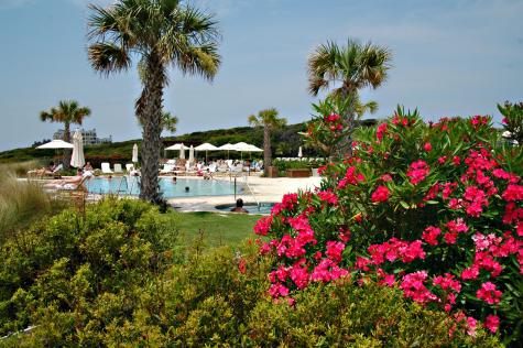 597 Oyster Rake Drive Kiawah Island SC 29455