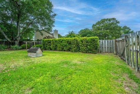 1383 Downsberry Drive Mount Pleasant SC 29466
