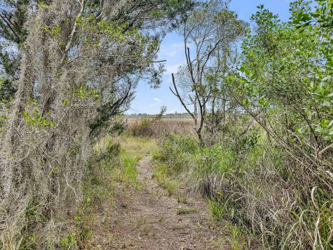 1504 Royal Colony Road Johns Island SC 29455