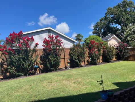 3005 Beauregard Court Summerville SC 29485