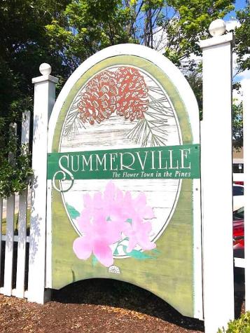 217 Seele Street Summerville SC 29485