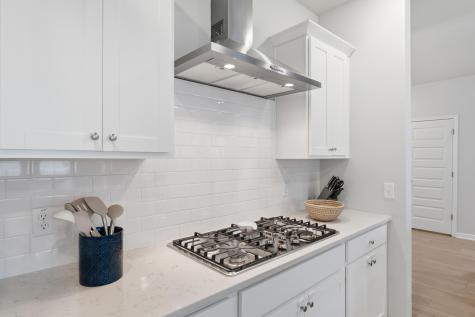 302 Camellia Bloom Drive Moncks Corner SC 29461