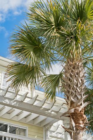 3012 Sugarberry Lane Johns Island SC 29455