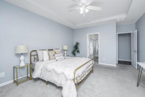 226 Firewheel Court Summerville SC 29486
