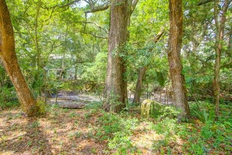 1584 Periwinkle Drive Mount Pleasant SC 29466