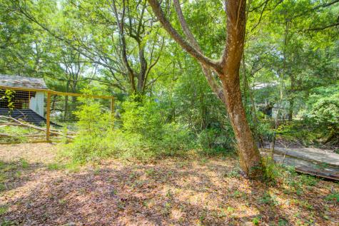 1584 Periwinkle Drive Mount Pleasant SC 29466