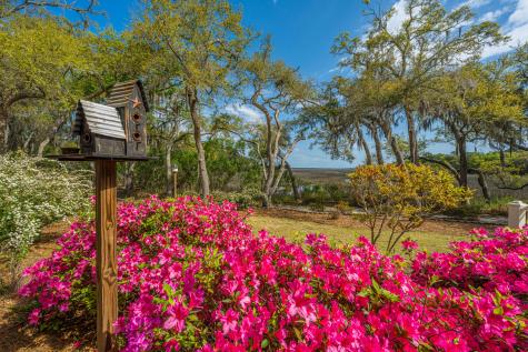 7731 Chaplin Garden Lane Edisto Island SC 29438