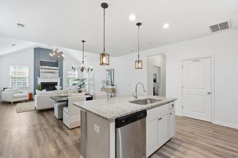 209 Clear Sky Lane Summerville SC 29486