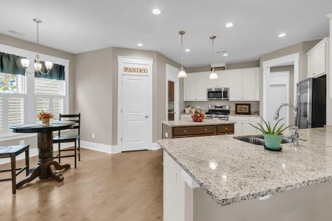 4029 Wood Violet Lane Summerville SC 29483