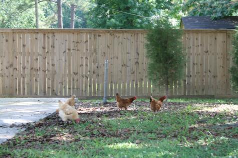 127 Roberts Road Summerville SC 29483