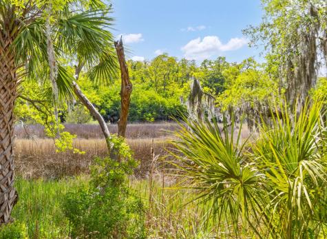 7856 Farr Street Daniel Island SC 29492