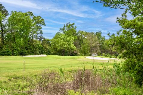 1705 Ventura Place Mount Pleasant SC 29464