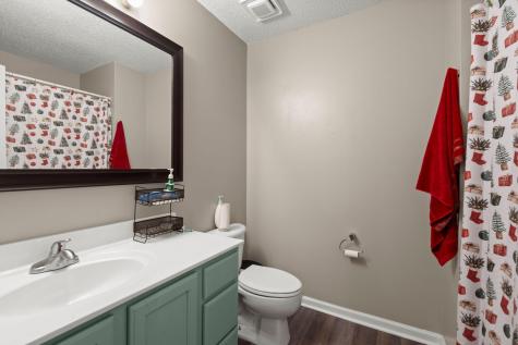 77 Blue Jasmine Lane Summerville SC 29483
