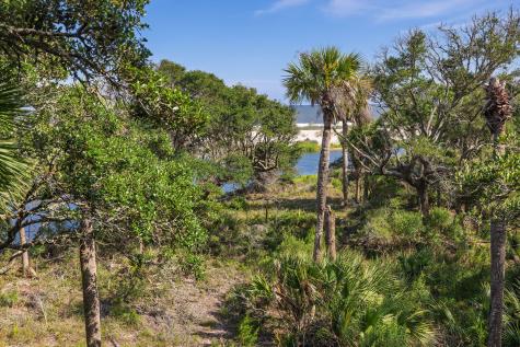 411 Pelican Flight Drive Dewees Island SC 29451