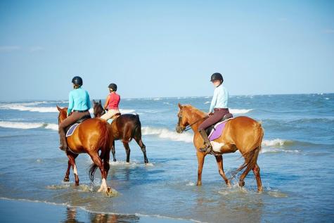 157 High Hammock Villas Seabrook Island SC 29455