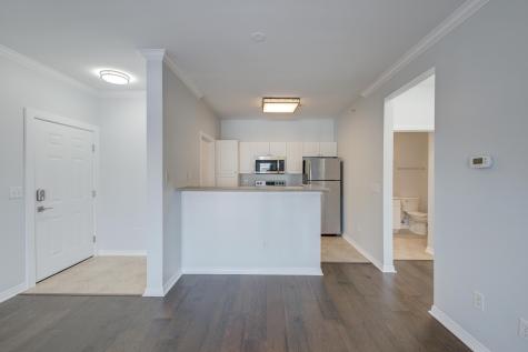 130 River Landing Drive Daniel Island SC 29492