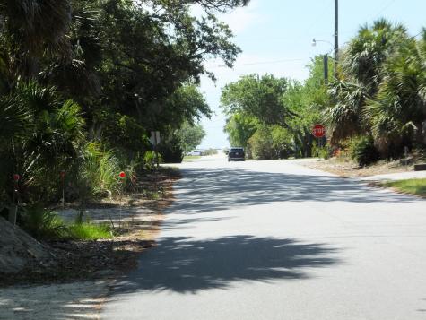 575 Pelican Court Edisto Island SC 29438