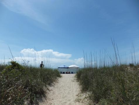575 Pelican Court Edisto Island SC 29438