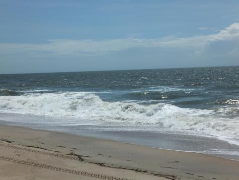 575 Pelican Court Edisto Island SC 29438