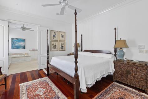 131 Balfour Drive Daniel Island SC 29492