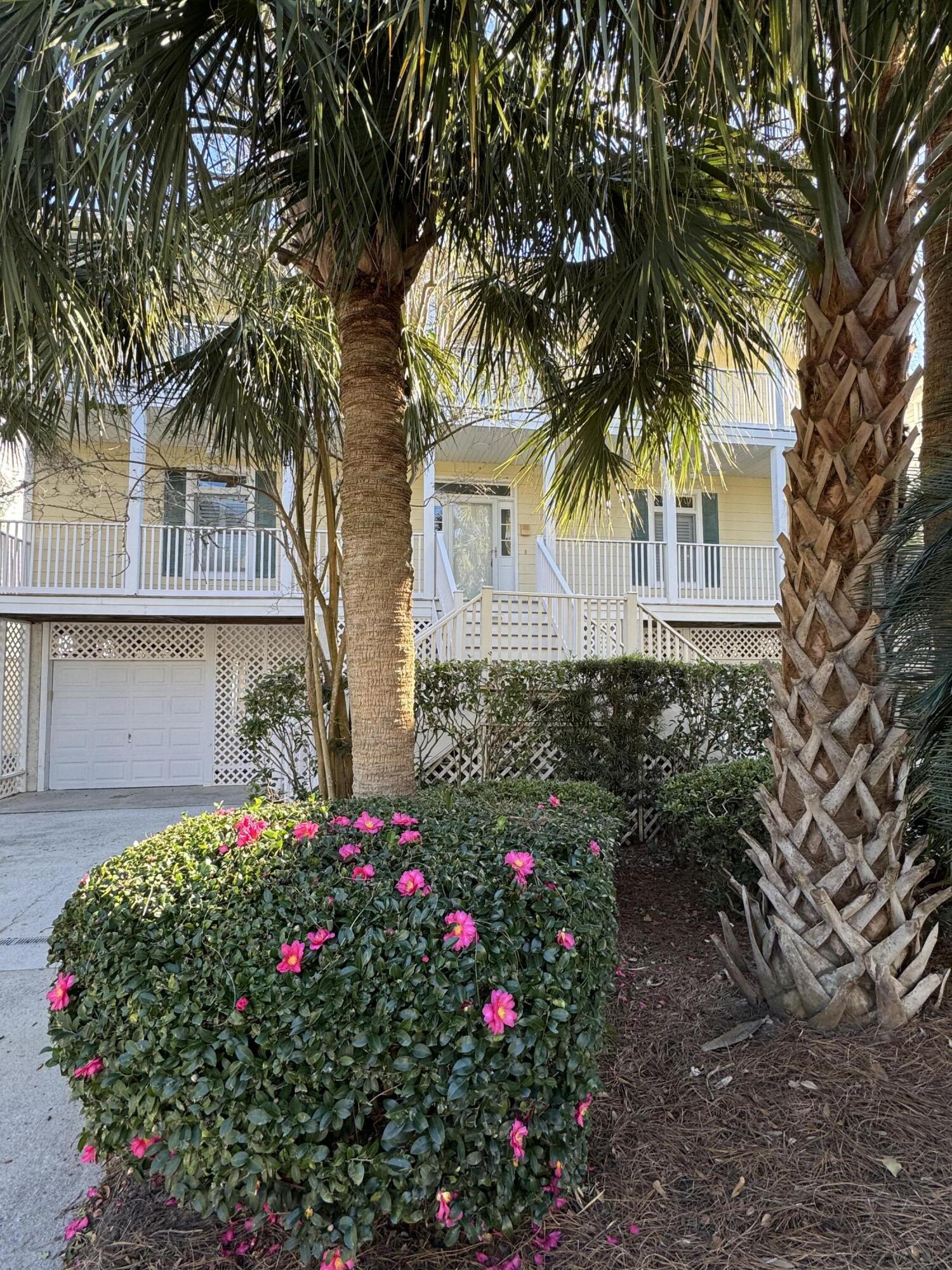 6 Morgan Place Drive Isle Of Palms SC 29451