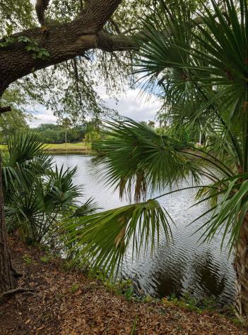 6 Morgan Place Drive Isle Of Palms SC 29451