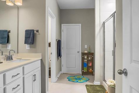 122 Long Trail Way Moncks Corner SC 29461