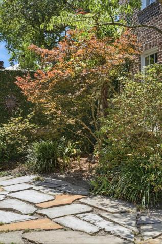 35 Wentworth Street Charleston SC 29401