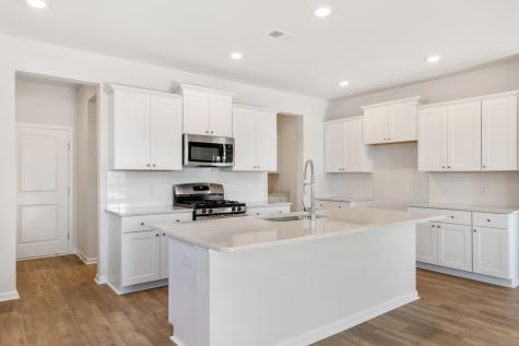 1012 Red Turnstone Run Summerville SC 29485