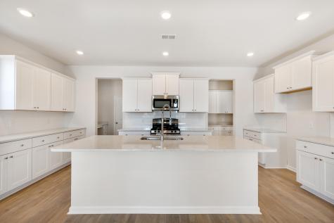 1012 Red Turnstone Run Summerville SC 29485