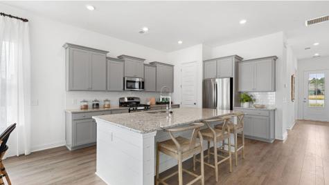 225 Mullins Bay Court Summerville SC 29486