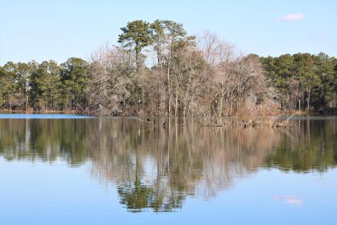253 Maritime Way Summerville SC 29485