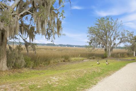 1081 Saltwater Circle Johns Island SC 29455
