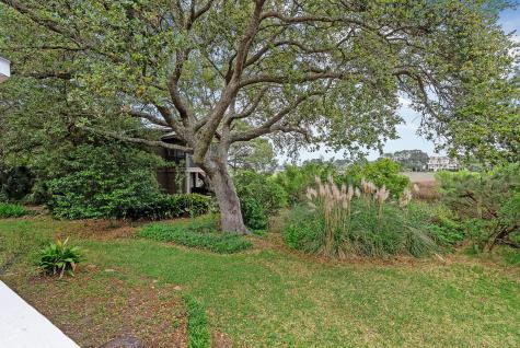 1471 Battery Brown Court Charleston SC 29412