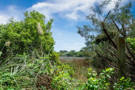 1471 Battery Brown Court Charleston SC 29412