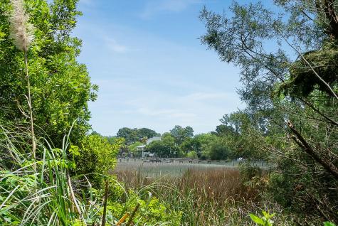 1471 Battery Brown Court Charleston SC 29412