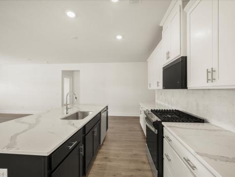 437 Radiant Blue Way Summerville SC 29486