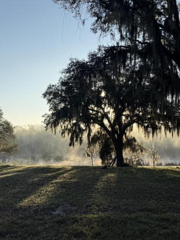 4347 Chisolm Road Johns Island SC 29455