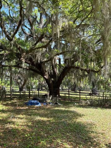 4347 Chisolm Road Johns Island SC 29455