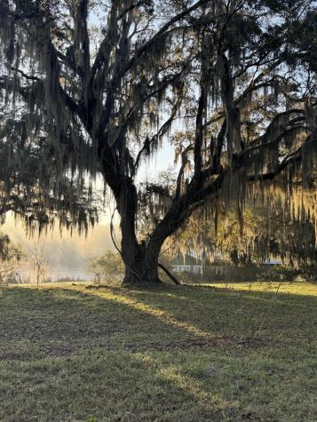 4347 Chisolm Road Johns Island SC 29455